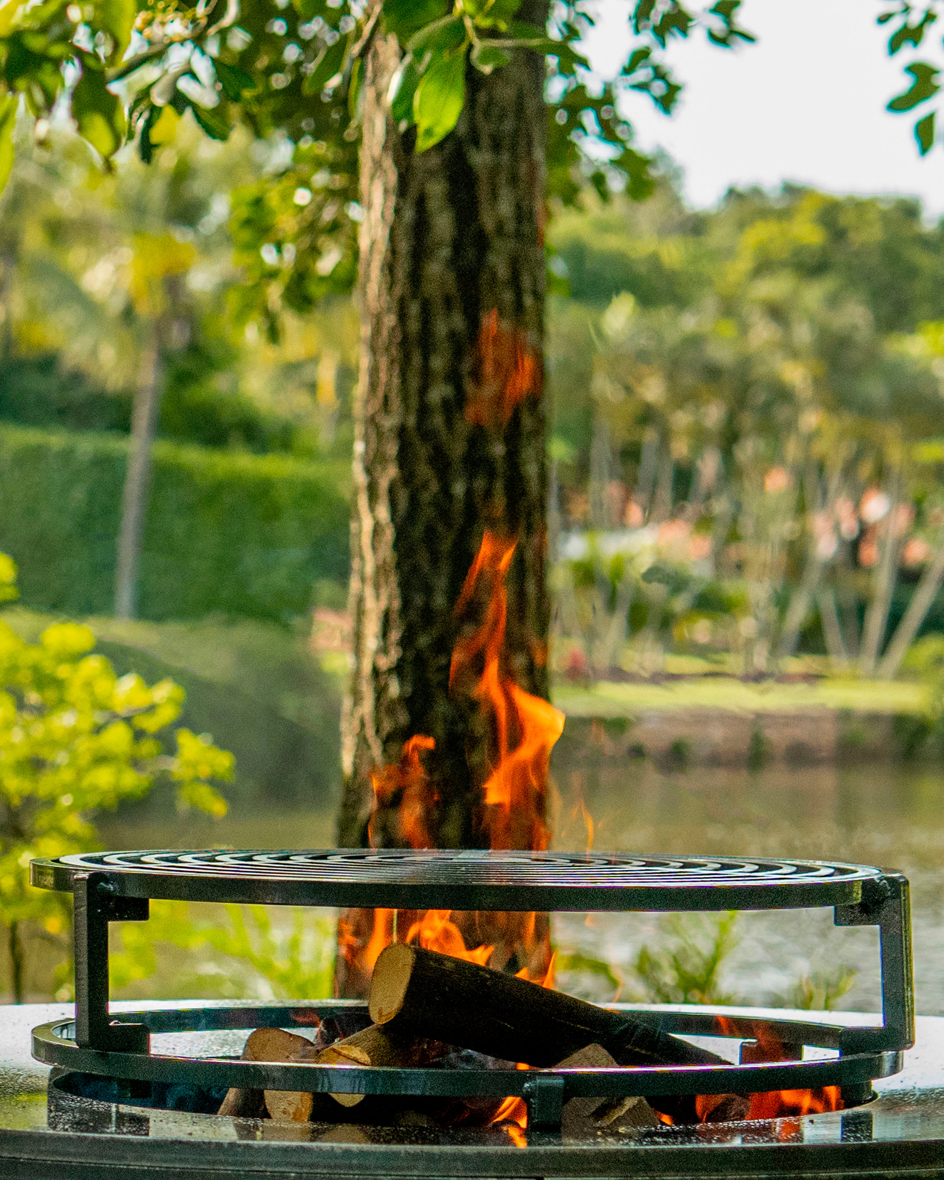 Conjunto Suporte Elevado & Grelha F